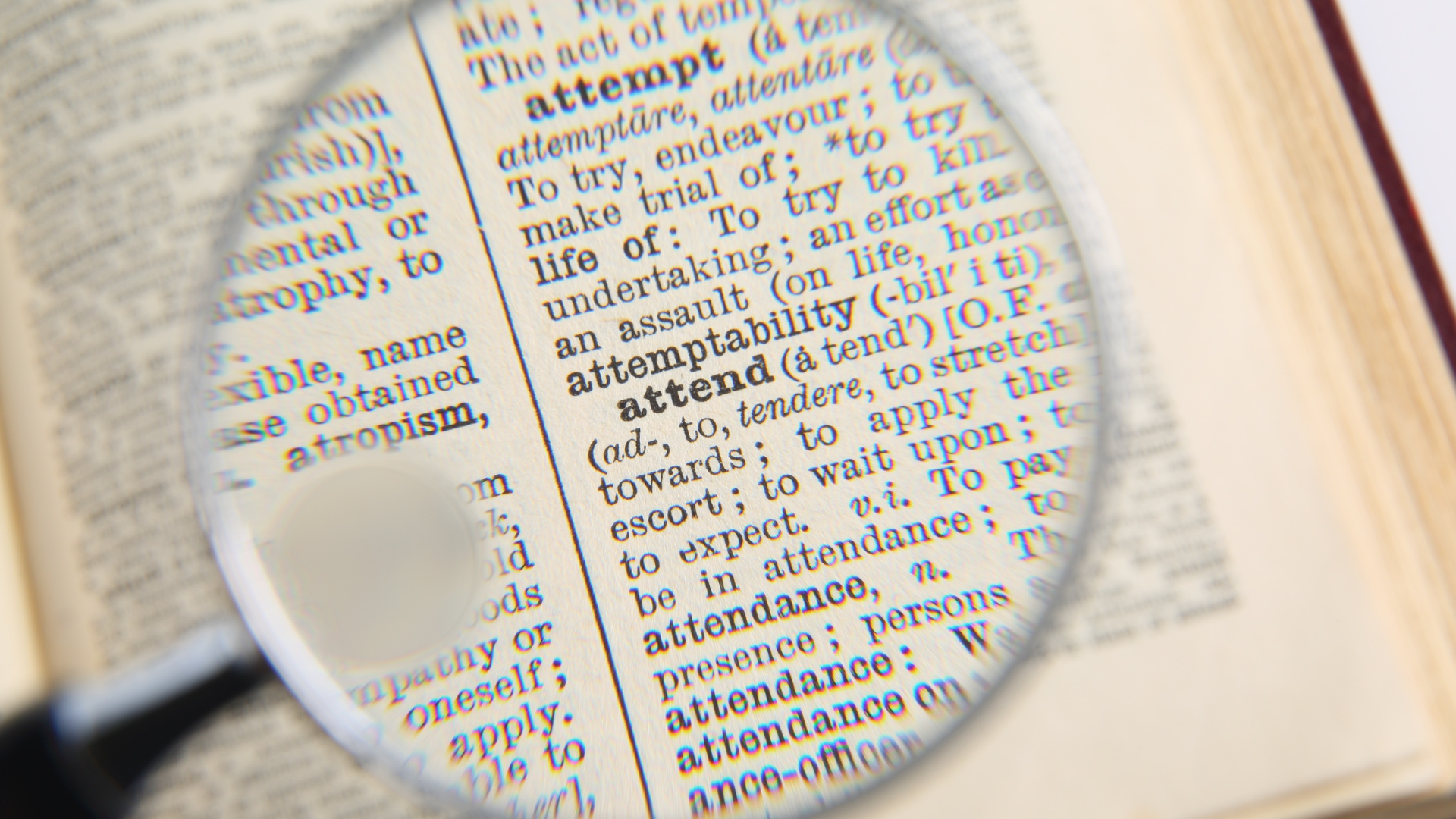 Curso Vocabulário Técnico Essencial para Profissionais de Serviços (8 HORAS)